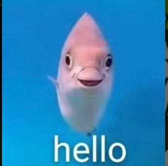 A Method for Human Emotional Expression Based on the Facial Morphology of Fish cover